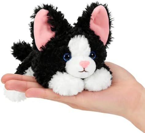 Kitten from PEACH CAT