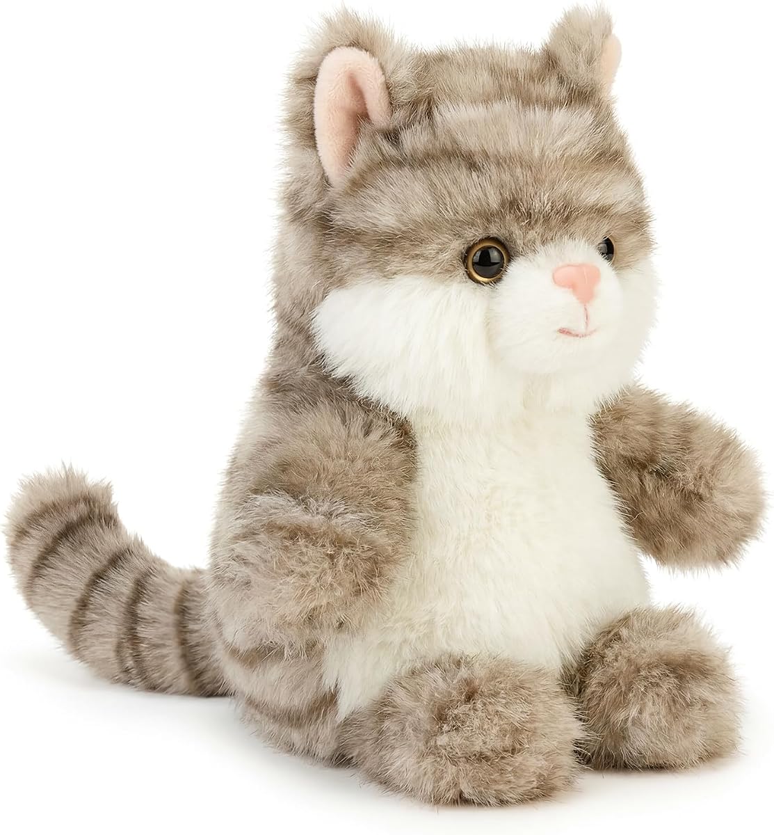 Cat Kitten — view 2