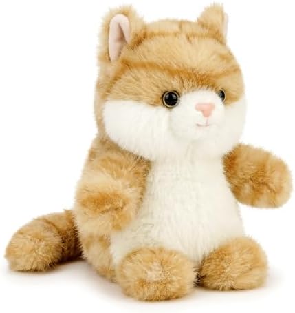 Cat Kitten