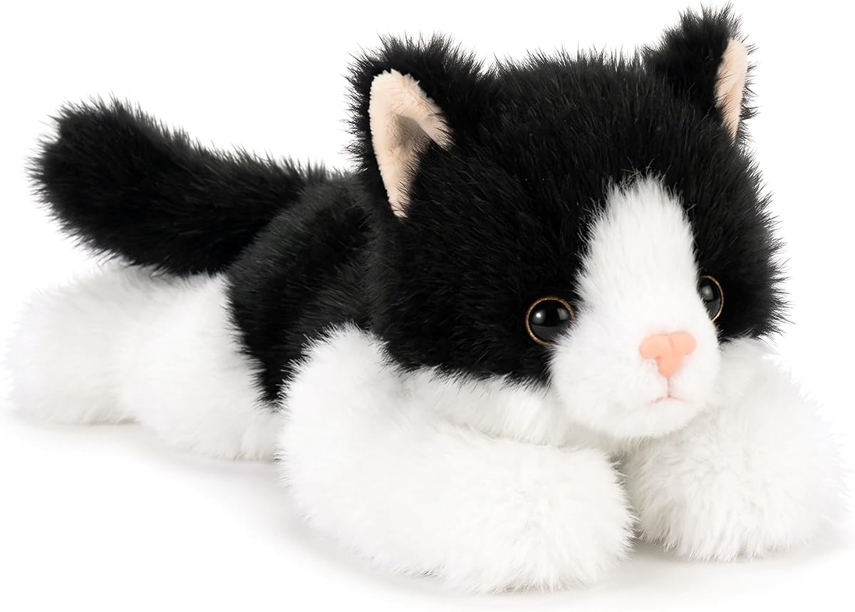 Tuxedo Cat Kitten — view 2