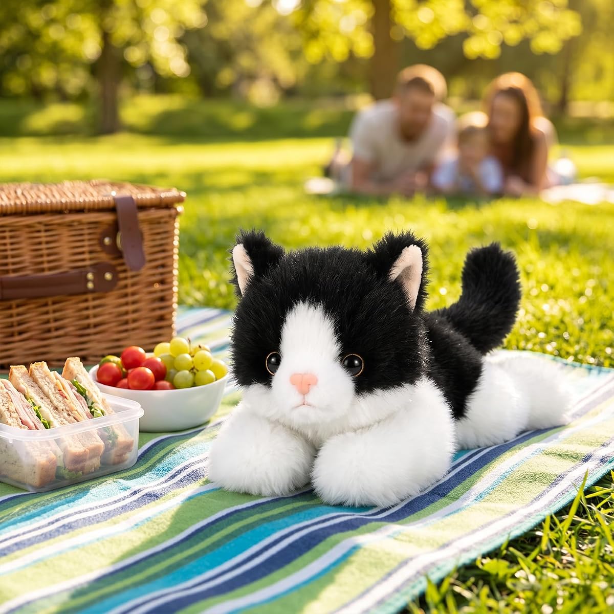 Tuxedo Cat Kitten — view 5