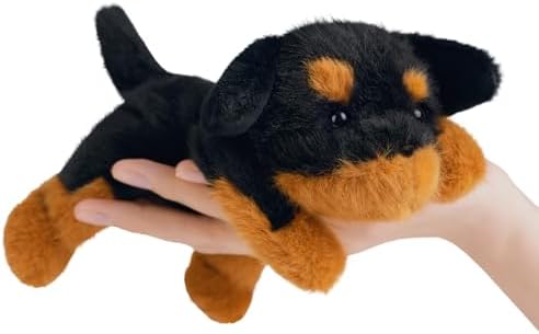 Puppy from PEACH CAT
